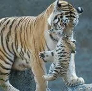 Meet your Posher, Noelia